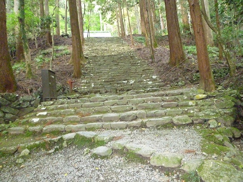 P1030425.jpg