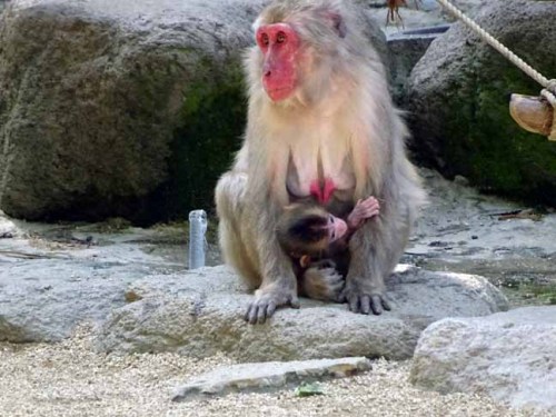 命名の日のレイワ (6).JPG