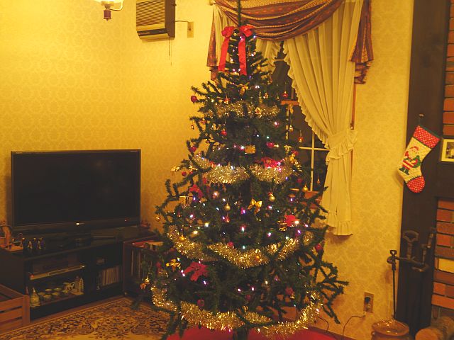151201tree.jpg