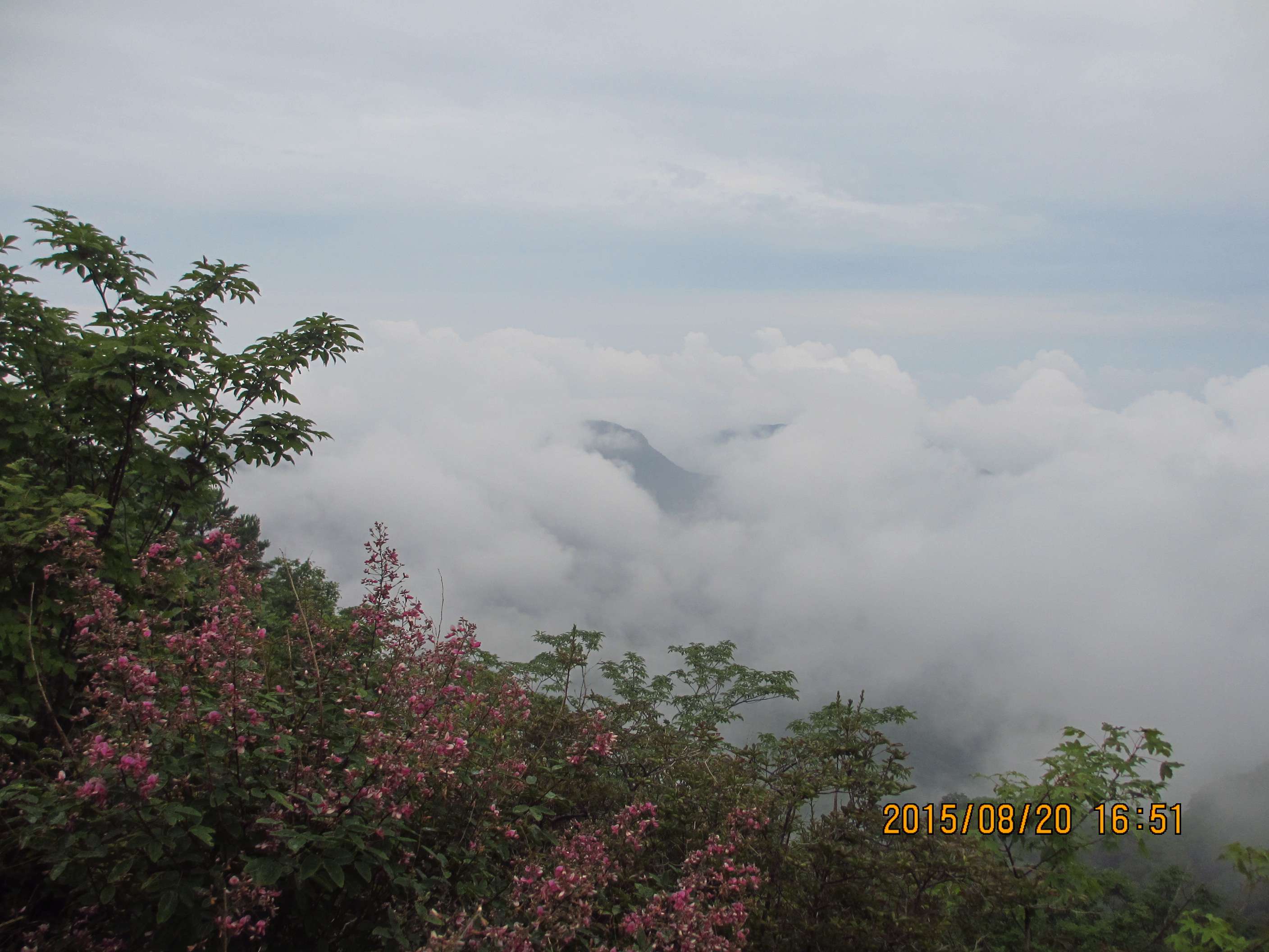 IMG_1339.JPG