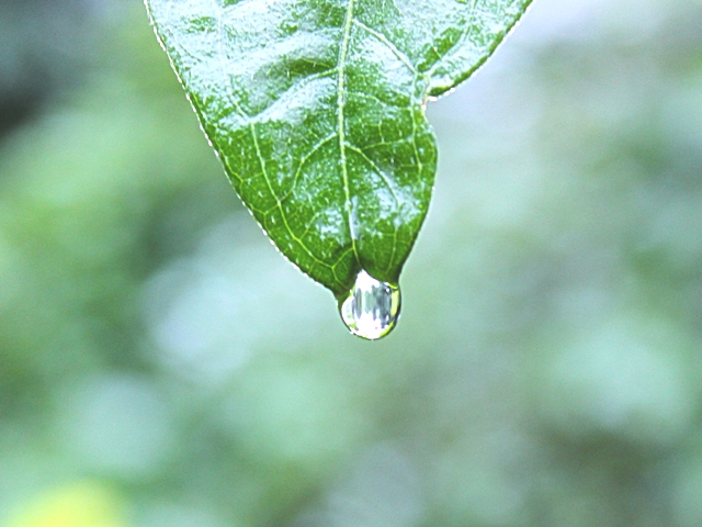 unsplash_525d659117c91_1.JPG