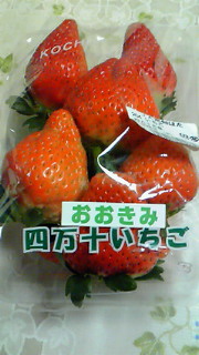 201302232115000.jpg