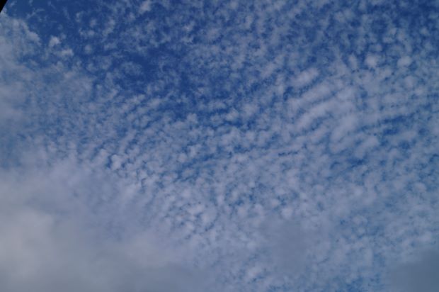 _DSC0800.JPG