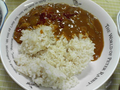 カレー15080502