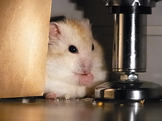2014_06060155.JPG