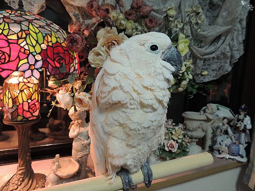 DSCN4108.JPG