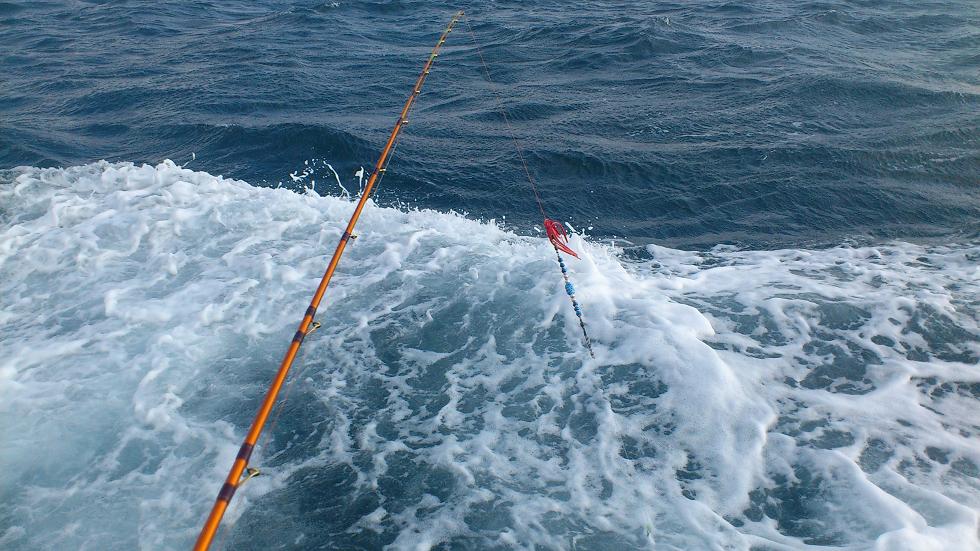 2012-12-01 13.09.29.jpg