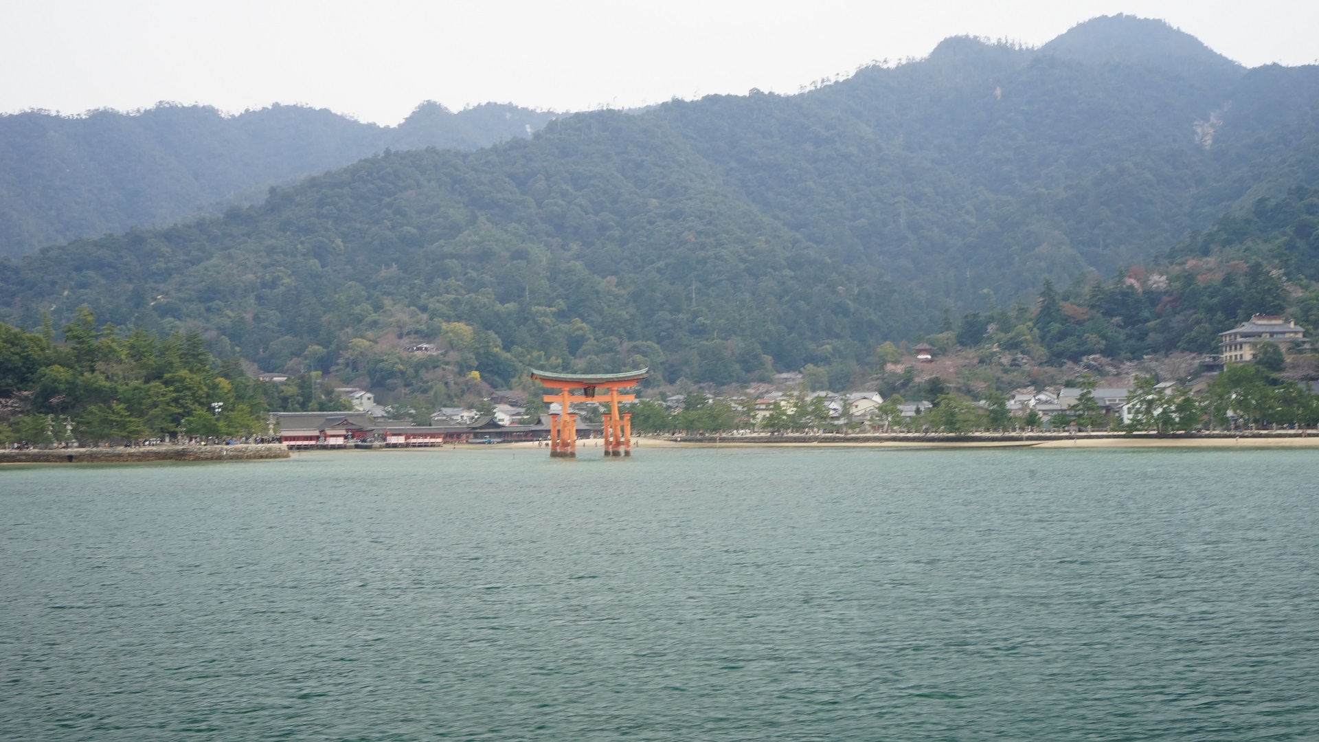 宮島.jpg