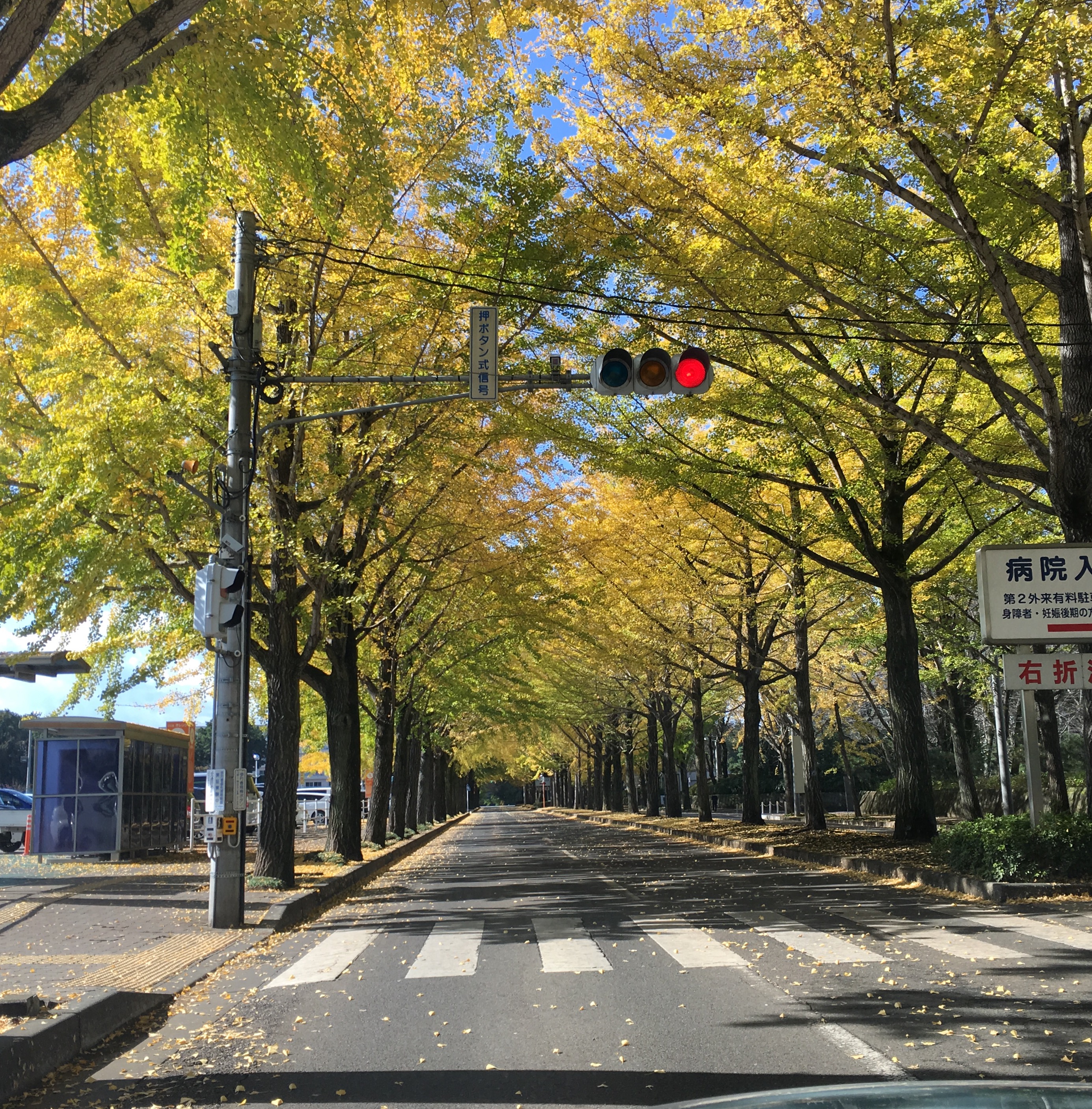 201511051057_7711_iphone.jpg