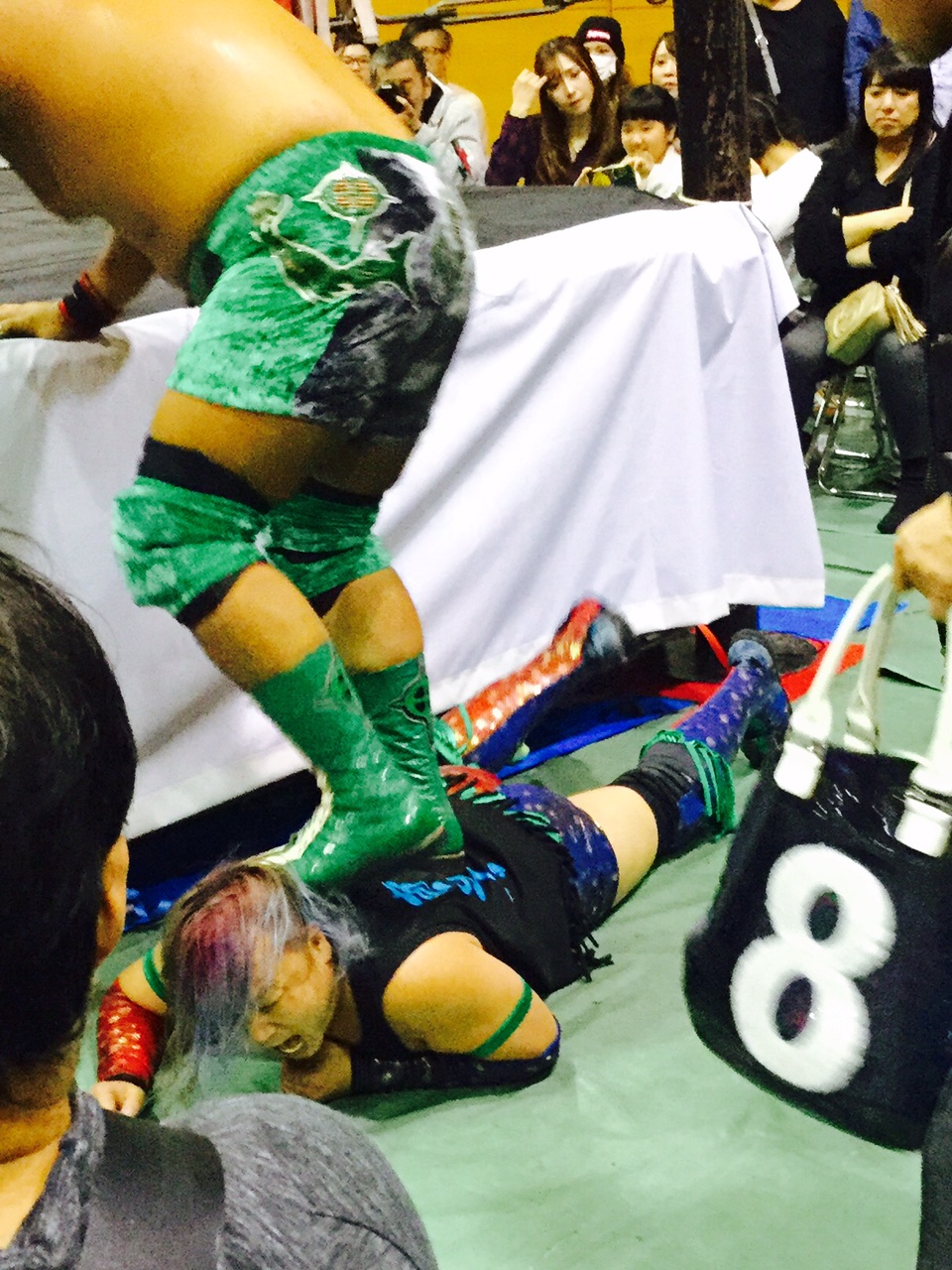 プロレス１９ｅ.jpg