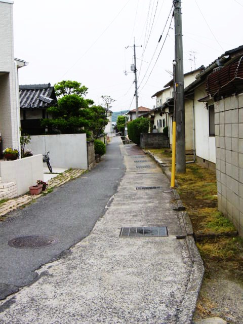 DSC08022.JPG