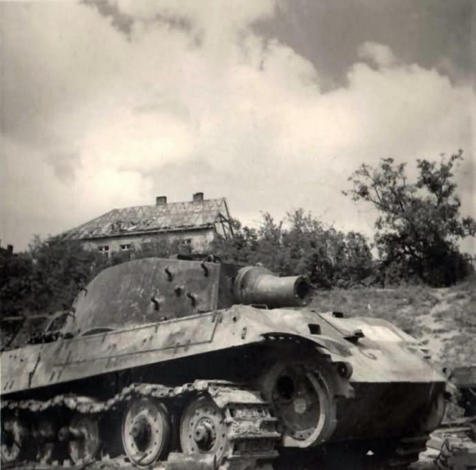 tiger_II_2.jpg