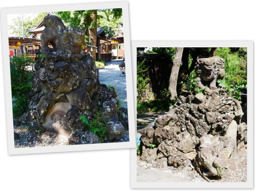 2020-09-04習志野 菊田神社3.jpg