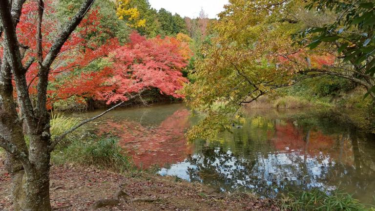 八十八か所お山めぐり (7).jpg