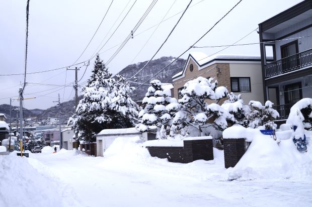 _DSC9800.JPG