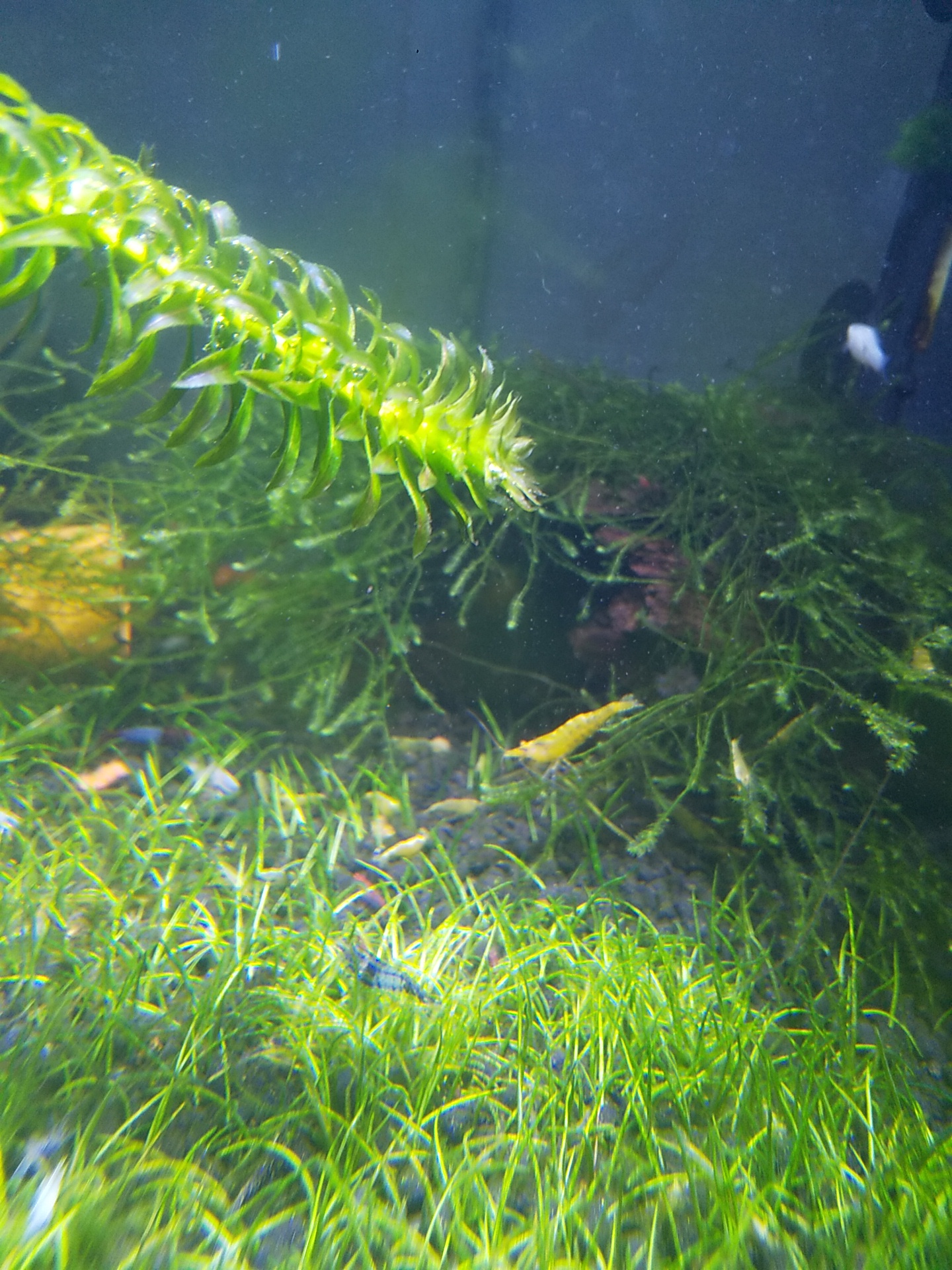 DSC_0642.JPG