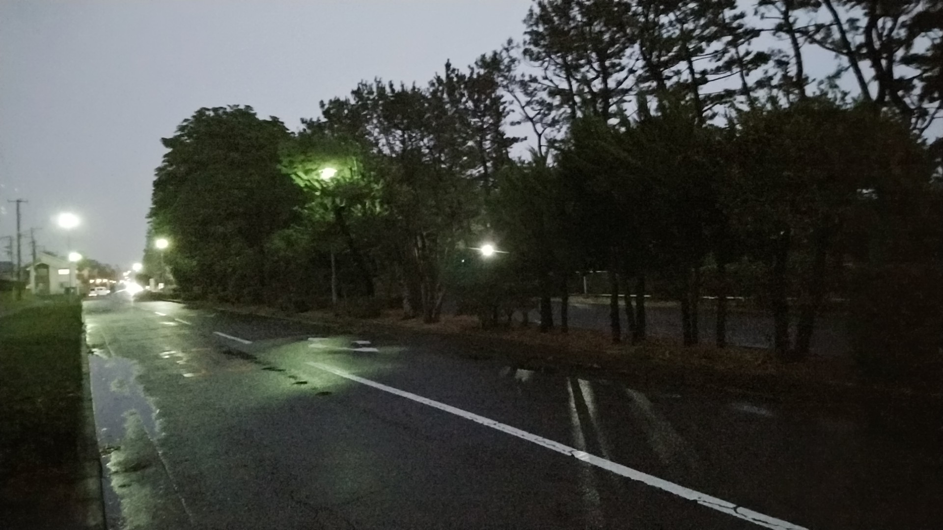 20191123  DSC_0001.jpg.jpg