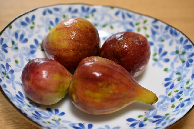 showPhoto (640×426)