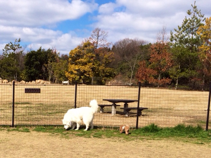 201403231138_1047_iphone.jpg
