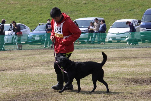 IMG_7519.JPG