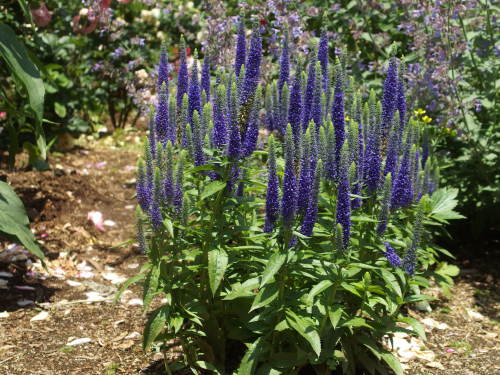 2015-06-10 12.08.10.jpg