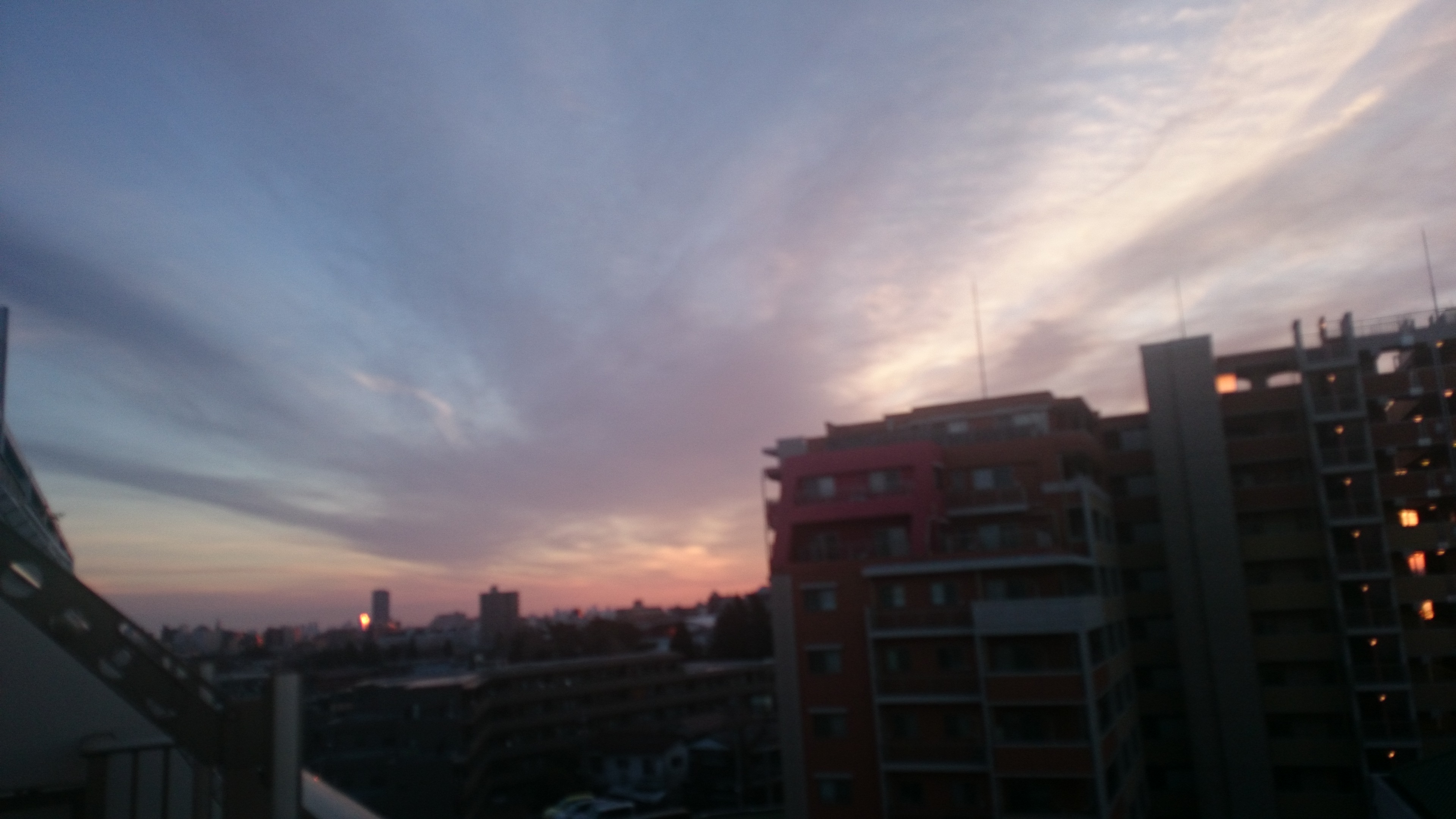DSC_0387.JPG