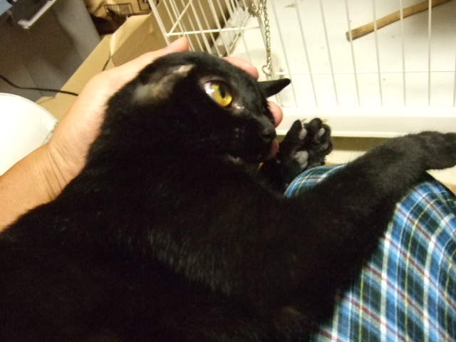 DSCF1048.JPG