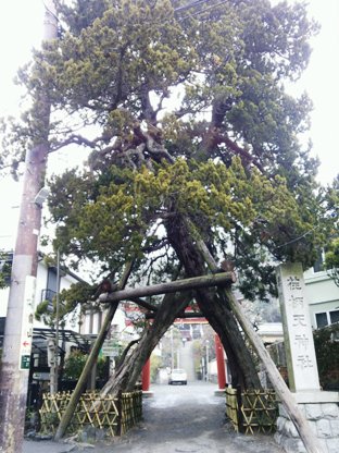 １　えがら天神社　入り口.JPG