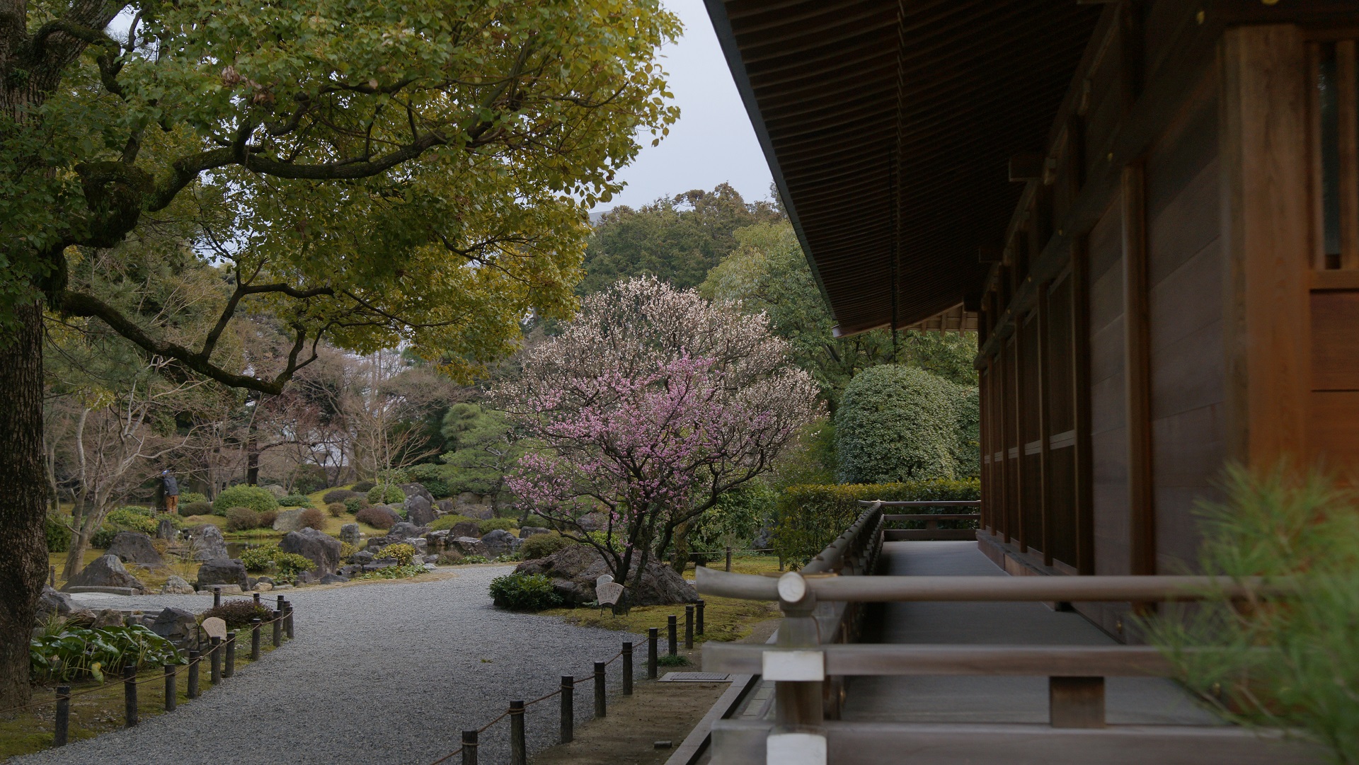 城南宮　庭園.jpg