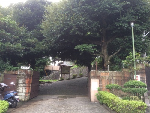 20150910 11110701.jpg