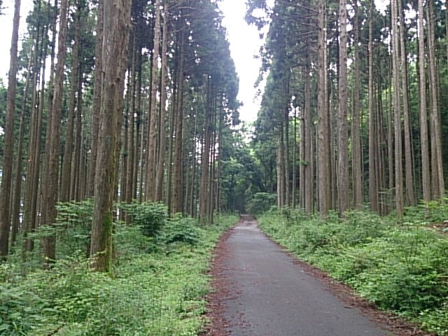 DSC_0151.jpg
