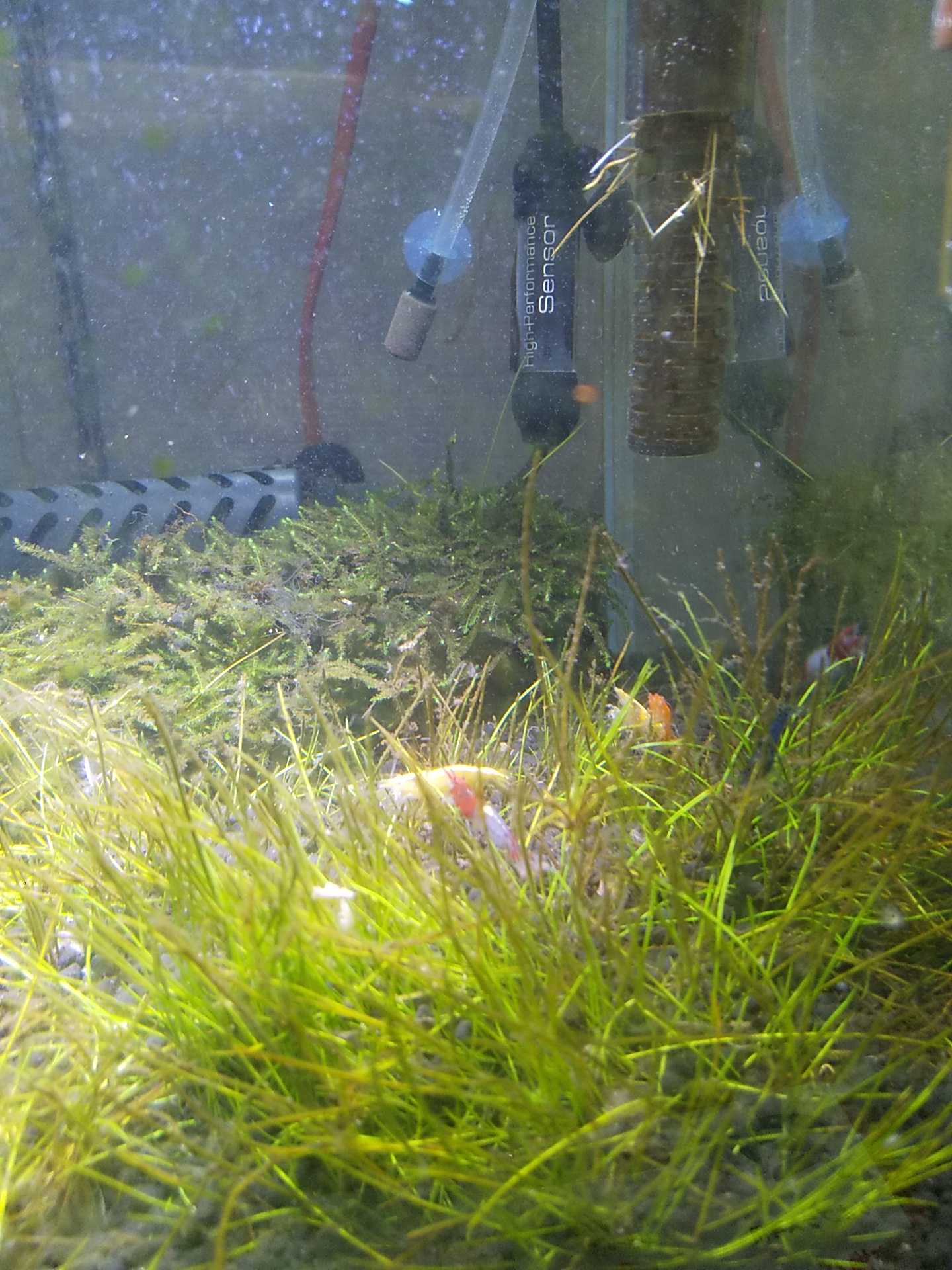 DSC_0363.JPG