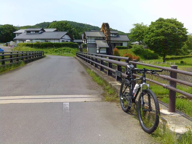 250529shikarawasoba01.jpg