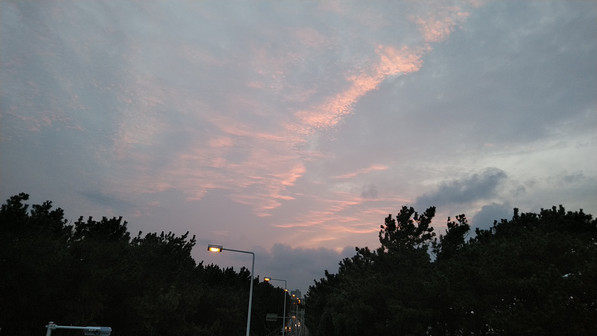 20190825  DSC_0001.jpg.jpg