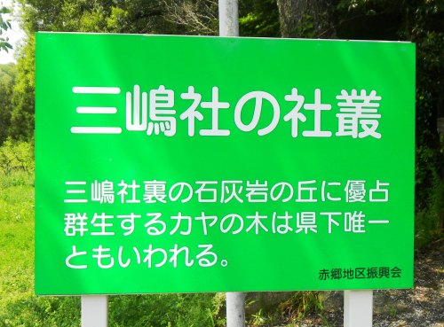 011三島社 (2).JPG
