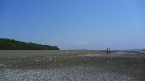 20150510 10303901.JPG