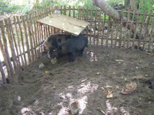 グアム旅行 リナラカルチャーパーク (27).JPG