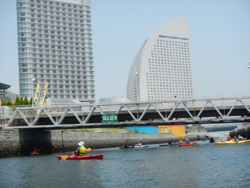 DSCN5002 (640x480).jpg