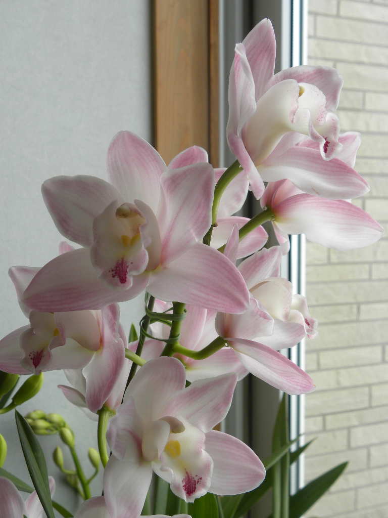 DSCN0308.JPG