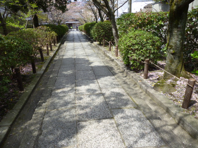 P1070437.JPG