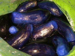 DSCN8998 (300x225).jpg