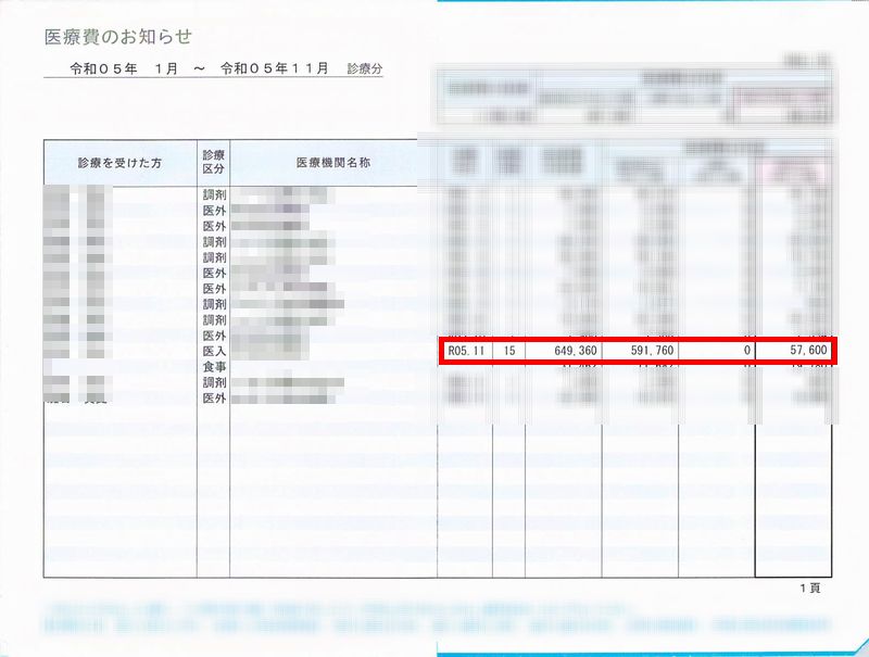 医療費のお知らせ_01.jpg