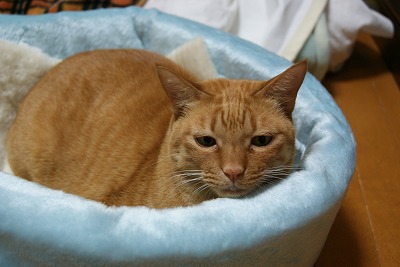 DSC03335.jpg
