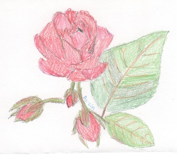 【RedRose】2015.jpg