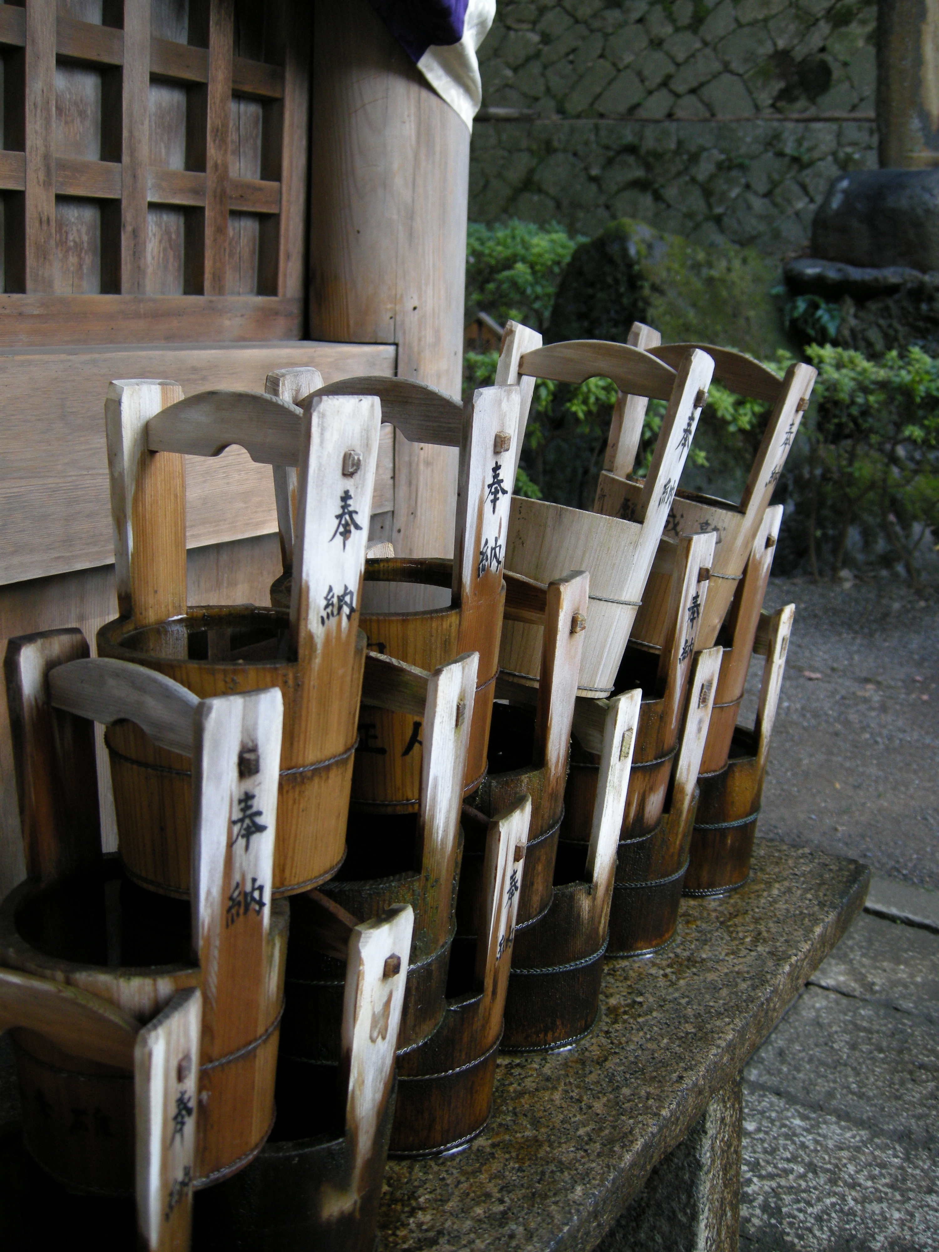 DSCN4231.JPG