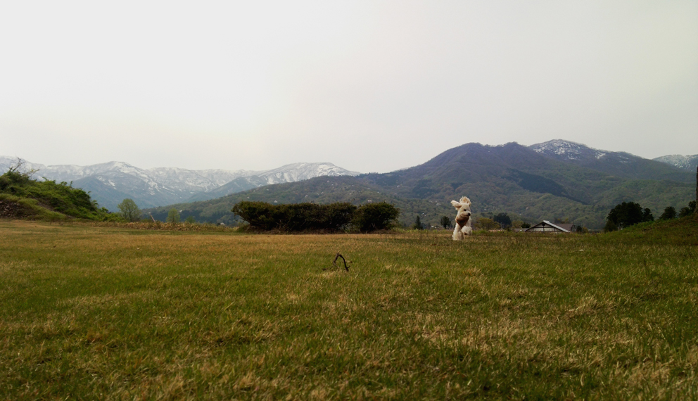 DSC_0979.jpg