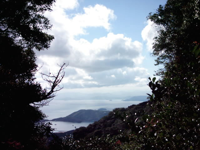 C:\fakepath\shodoshima023.jpg