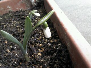 rps20120223_152554.jpg