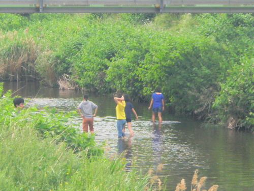 野川の立夏.JPG