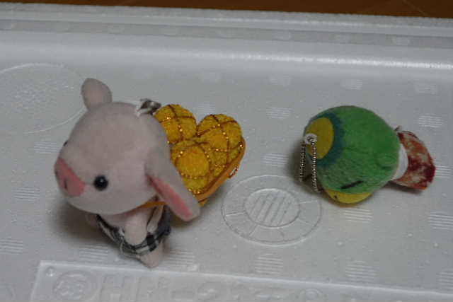 DSC04634.JPG